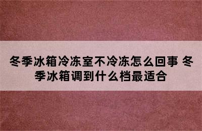 冬季冰箱冷冻室不冷冻怎么回事 冬季冰箱调到什么档最适合